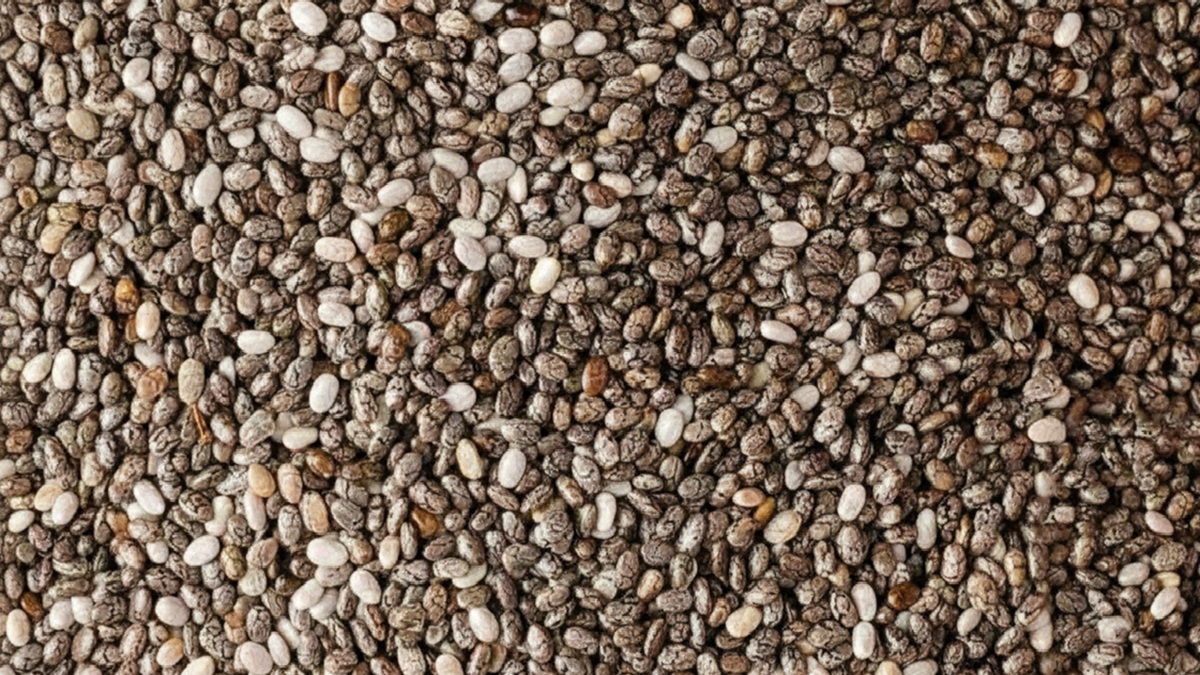 Puede la generación de nitrógeno N₂ convertirse en el nuevo estándar para la conservación de semillas.png